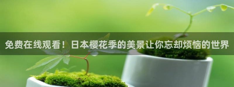 星空传媒影视免费观看