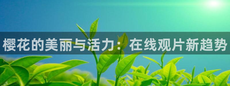 神马影院正青春