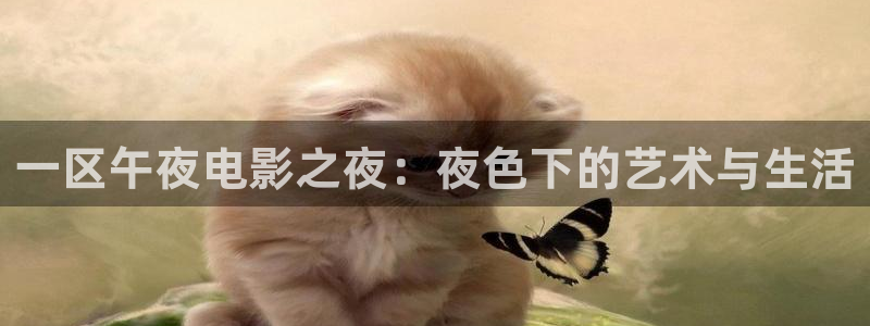 外国电影网站星空电影院
