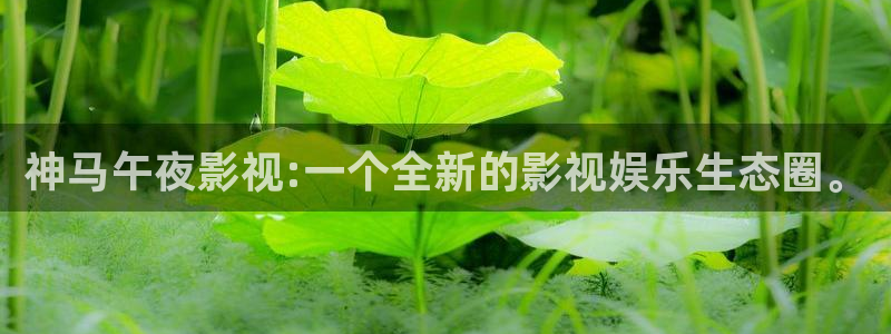 延安神马影院今日影讯