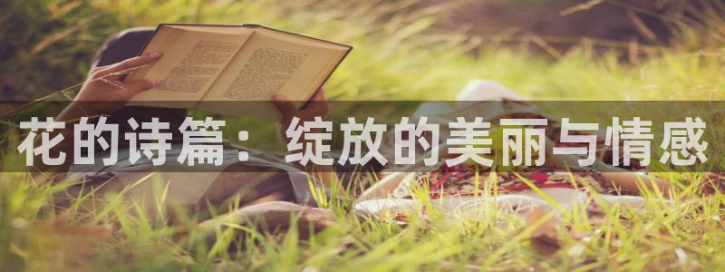 那片星空那片海免费观看全集