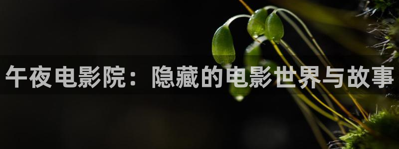 星空视频在线观看
