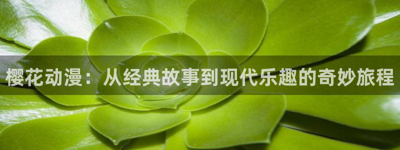神马影院免费观看电视剧电影2024年