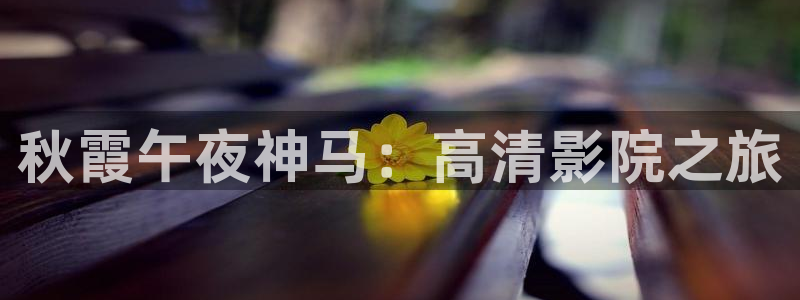 神马影院动漫
