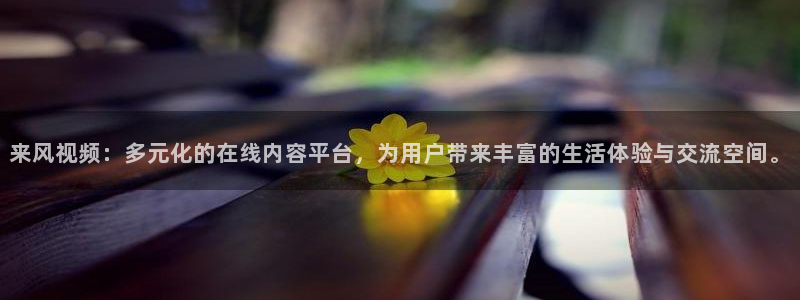 星空影视 下载