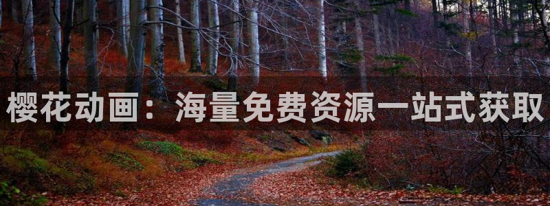 神马影院热门电视剧有哪些