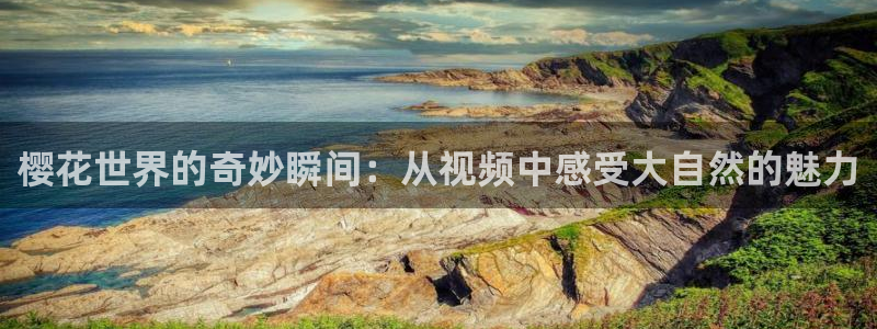 神马影院电影下载