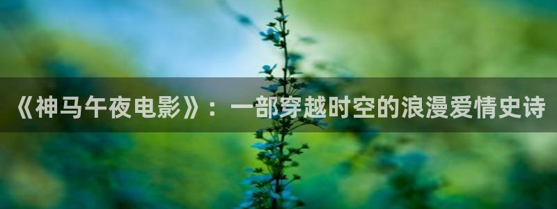 神马影院免费观看电视剧电影下载