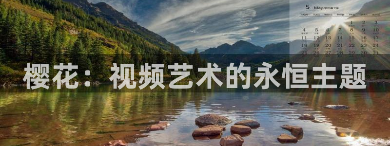 星空影视是什么