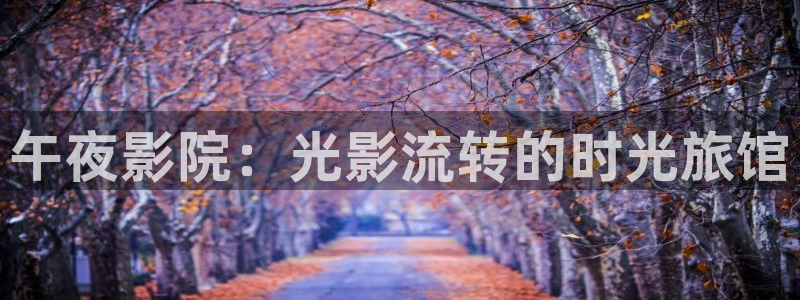 星空视频播放