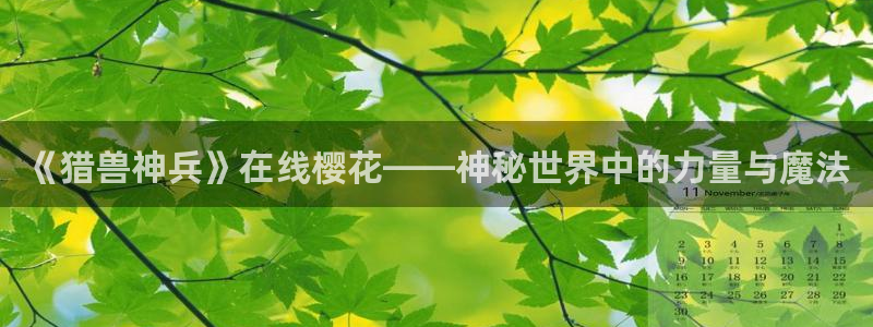 星空无限传媒影视