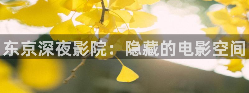 贵阳神马影院