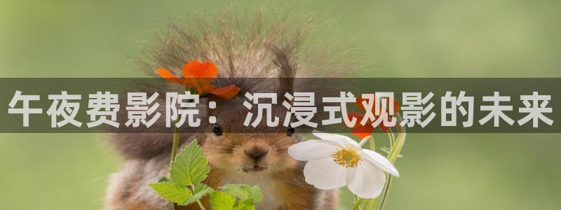 感官世界神马影院在线观看