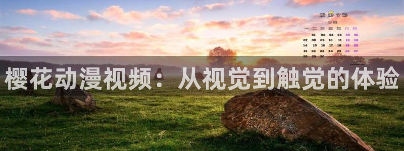神马影院理论