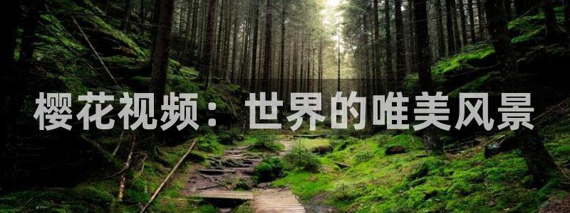 在线影院星空