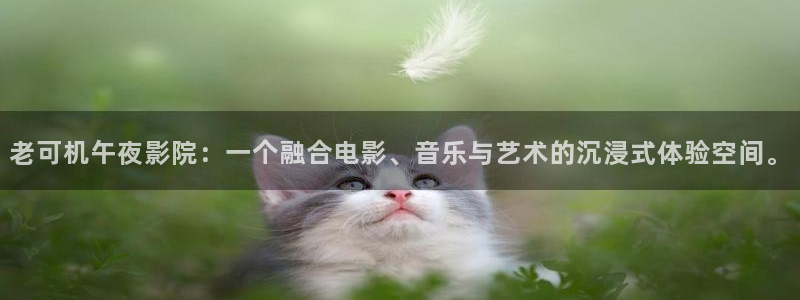 星空 电影 在线观看